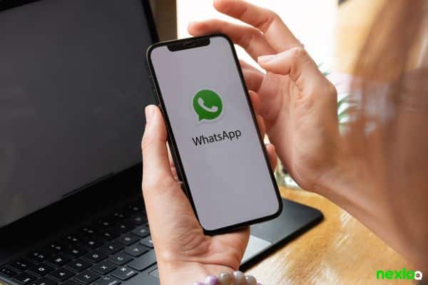 whatsapp whatsapp business