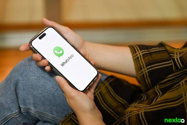 whatsapp whatsapp business